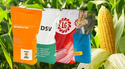 Mais LSV Ergebnisse und Sortiment