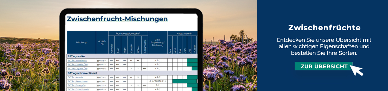 Zwischenfruchtmischungen bequem online bestellen bei myAGRAR – plus wertvolle Tipps für Ihre Fruchtfolge! Zwischenfruchtmischungen bequem online bestellen bei myAGRAR – plus wertvolle Tipps für Ihre Fruchtfolge!