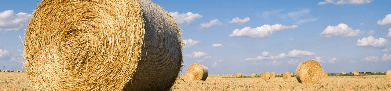 Rundballennetze