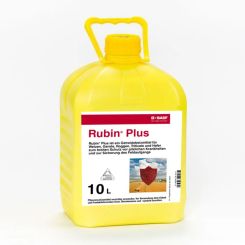 Rubin Plus