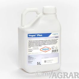 Interface du tableau de bord Vegas Plus montrant les jeux et les soldes