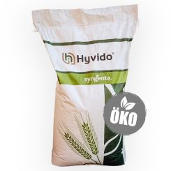 SY Zoomba &Ouml;ko
