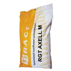 Sonnenblume RGT Axell M