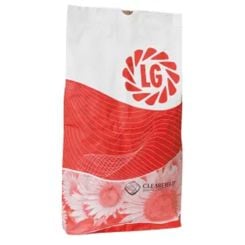 Sonnenblume LG 53.77