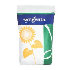 Sonnenblume NK Delfi