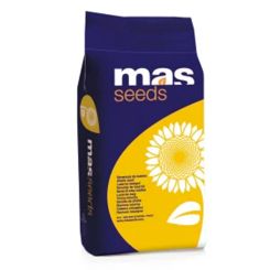 Sonnenblume MAS 81 K