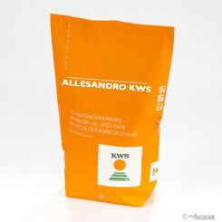 Allesandro KWS