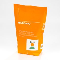Hatonio