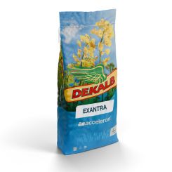 Exantra