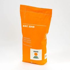 KXC 3349 (KWS Galao)