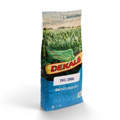 dattelpalme knstlich Knstliche Dattelpalme - Kaan | 280 cm