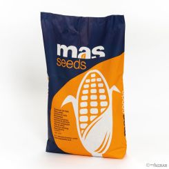 Mas 10 A