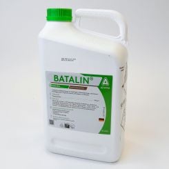 Batalin