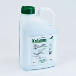 Kalamos