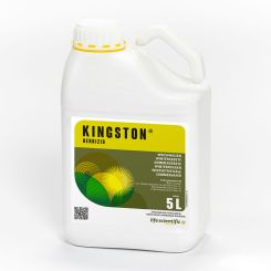 Kingston