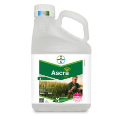 Ascra Xpro