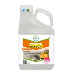 Bandur