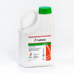 Callisto