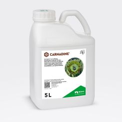Carnadine