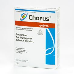 Chorus