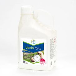 Decis forte