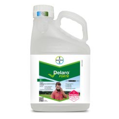Delaro Forte