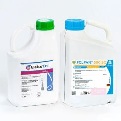 Elatus Era Folpan