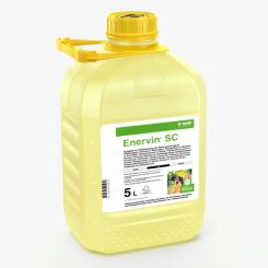 Enervin SC