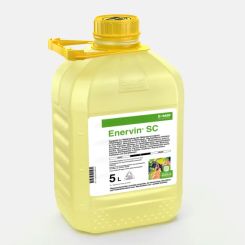 Enervin SC