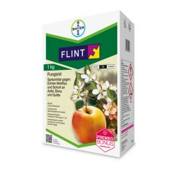 Flint