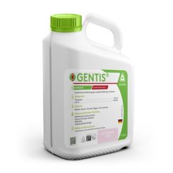 Gentis