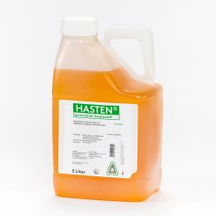 Hasten