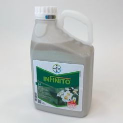 Infinito
