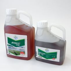 Jessico Duo Pack