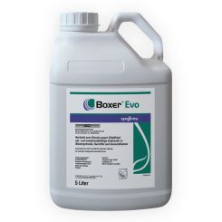 Boxer Evo