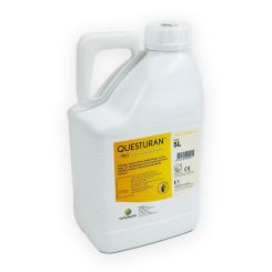 Questuran Pro