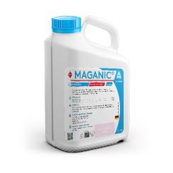 Maganic