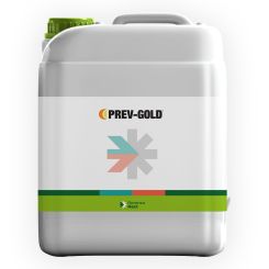 Prev-Gold