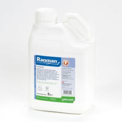 Ranman Top