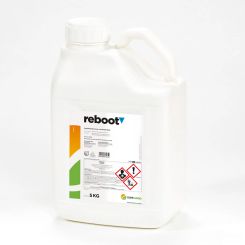 Reboot