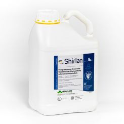 Shirlan
