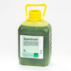 Spectrum