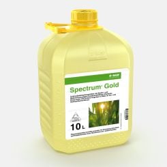 Spectrum Gold