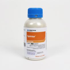 Spintor