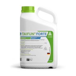 Taifun forte
