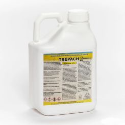 Trepach
