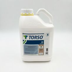 Torso