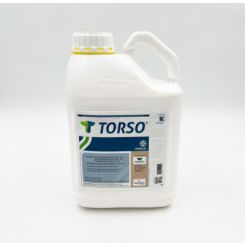 Torso