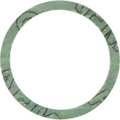 Amazone Dichtung