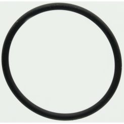 Amazone O-Ring FC315